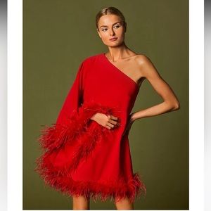 NWT Antonio Melani Cosima One Sleeve Asymmetrical Neckline Feather Trim Dress